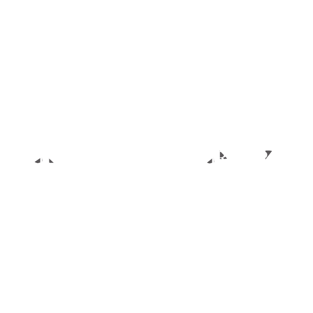 Global Reborn Group - Corporate Ecosystem